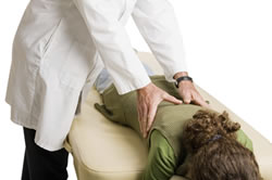 Chiropractic Care Can Enhance the Immune System Joplin MO