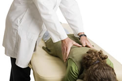 Chiropractic Care Can Enhance the Immune System Joplin MO